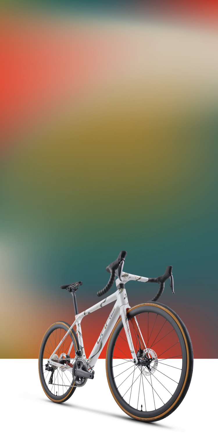 DARE Bikes X 10 Years